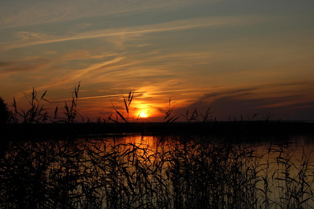 Kuelalistemaja Vehendi Motell Buitenkant foto